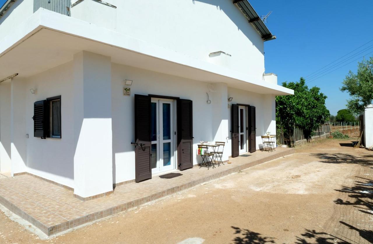 Alloggi In Villa Potenza A Pochi Minuti Da Gallipoli غالاتوني المظهر الخارجي الصورة